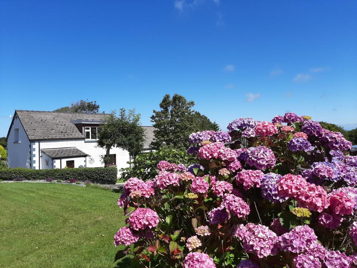 Trenewydd Farm Holiday Cottages Cardigan Eksteriør billede