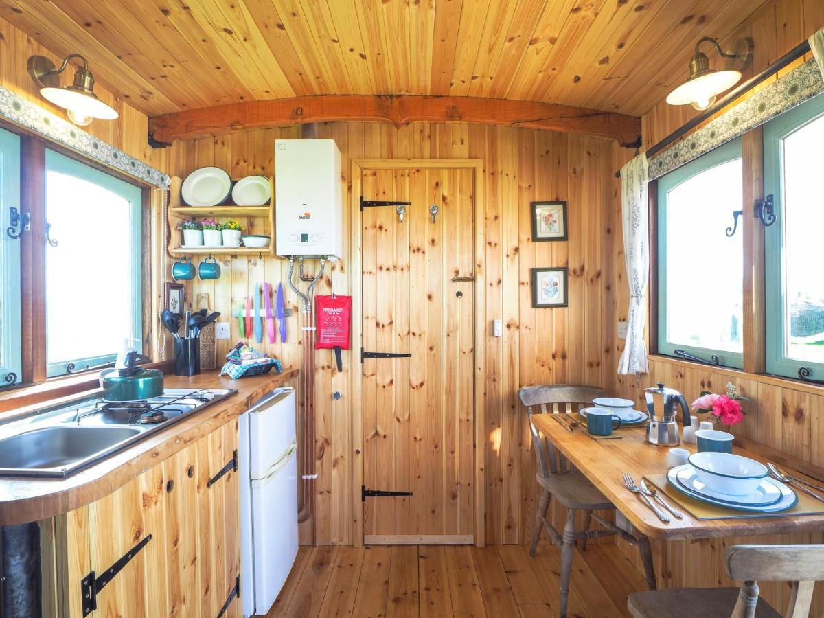Trenewydd Farm Holiday Cottages Cardigan Eksteriør billede