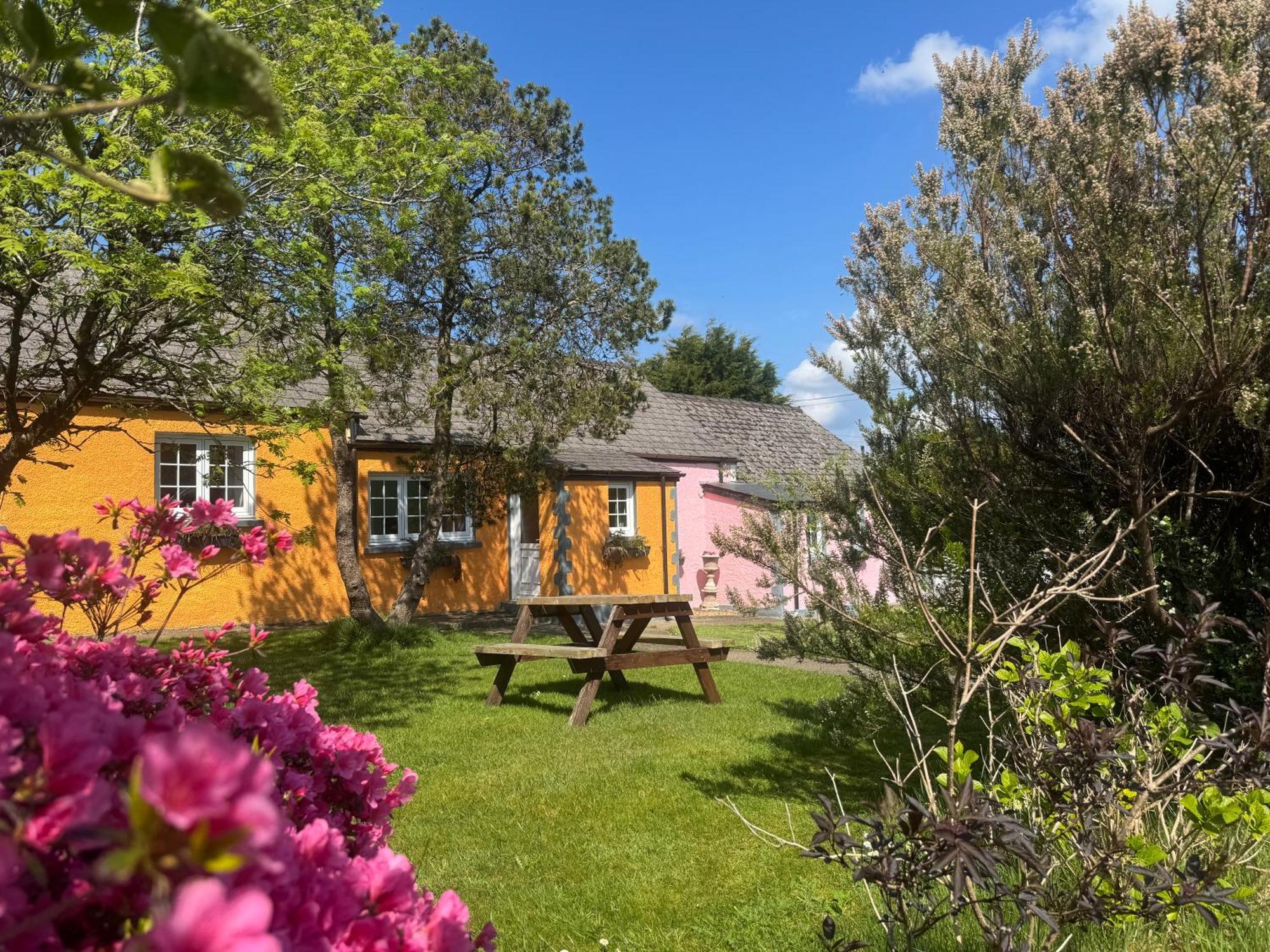 Trenewydd Farm Holiday Cottages Cardigan Eksteriør billede